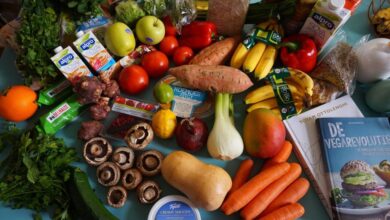 Pesquisa com gêmeos indica que dieta vegana melhora saúde do coração