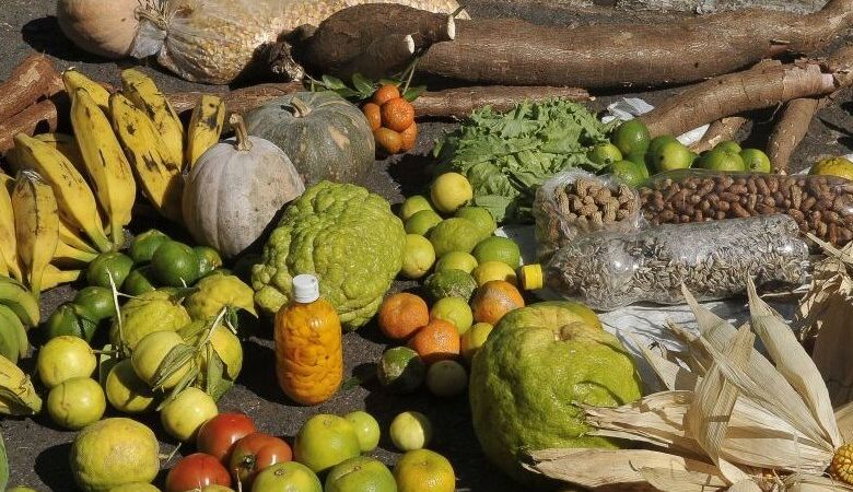 Insegurança alimentar: fome atingiu 3,2 milhões de lares brasileiros em 2023, diz IBGE