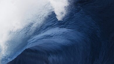 Ondas gigantes em águas calmas: saiba por que os tsunâmis de lagos são tão perigosos