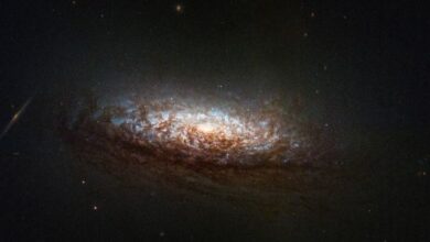 A incrível Nebulosa de Serpente e mais imagens fantásticas da NASA em junho