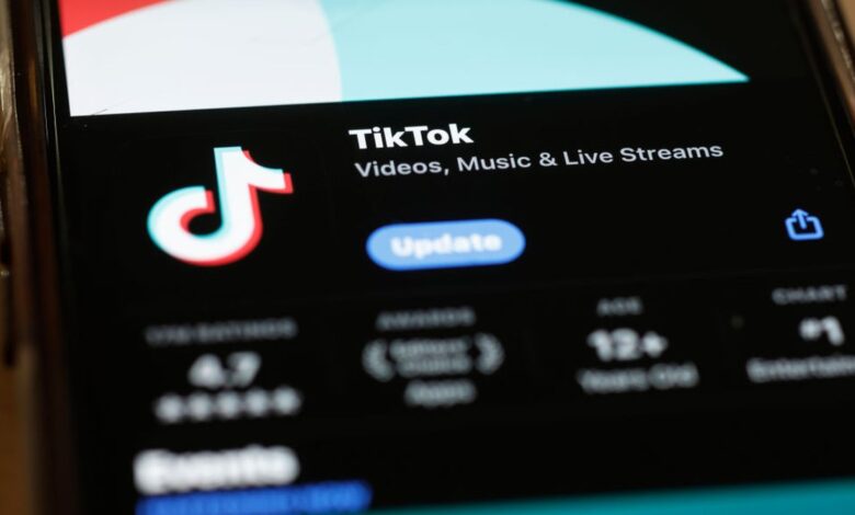 EUA acusam TikTok e coletar dados e manipular usuários em temas polêmicos