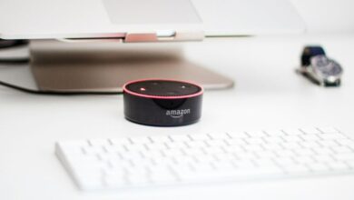 Alexa Guard: como funciona o recurso para assistente cuidar da sua casa?