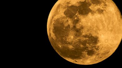 Superlua e Eclipse Lunar Parcial: os espetáculos celestiais do mês de setembro