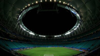 Bahia x Palmeiras: horário, onde assistir e prováv...