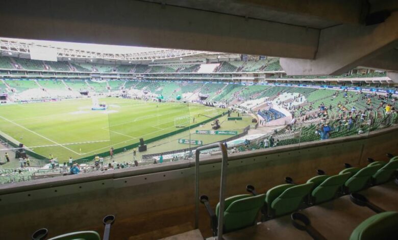 Palmeiras x Botafogo: horário, onde assistir e pro...