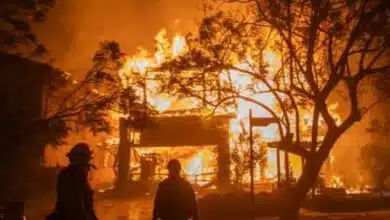 Incêndio em Los Angeles: veja imagens de satélites da destruição causada pelo fogo